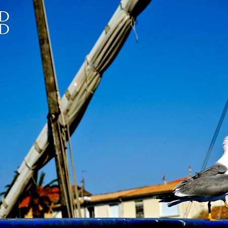 Escapade Au Soleil B002 Appartement 2 Chambres Dans Residence Sur La Plage لو غراو دو روا المظهر الخارجي الصورة